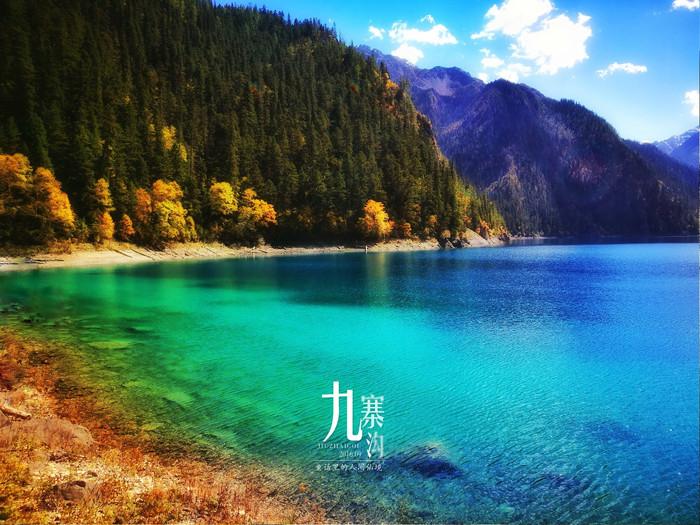 【两会关注】罗永慧代表:完善基础设施 做强中药材产业