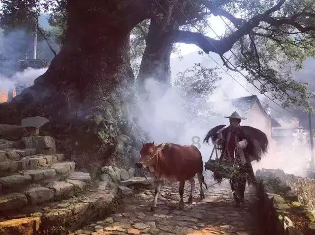 新年迎来“热”消费 神州大地到处喜气洋洋“烟火气”升腾