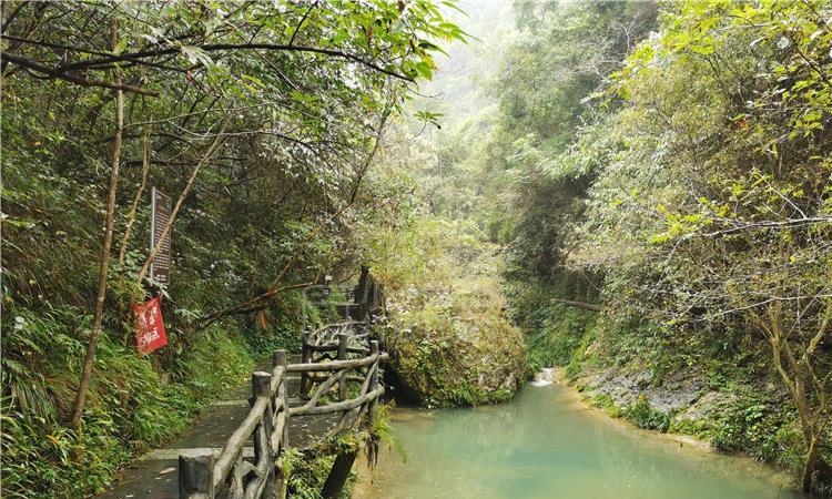 烟火气里迎新春 消费升温年味浓