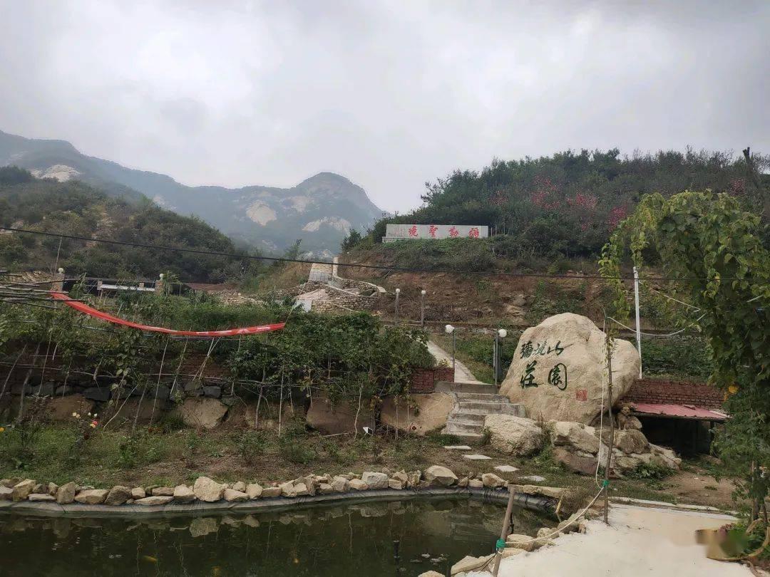 世界杯卡通足球大赛2