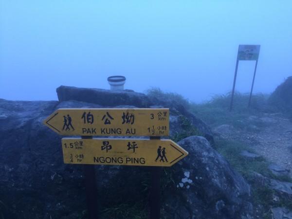 伟大时代：中世纪