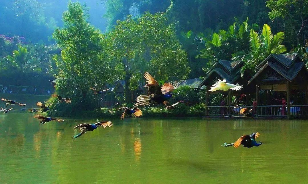 废弃诡异房逃离