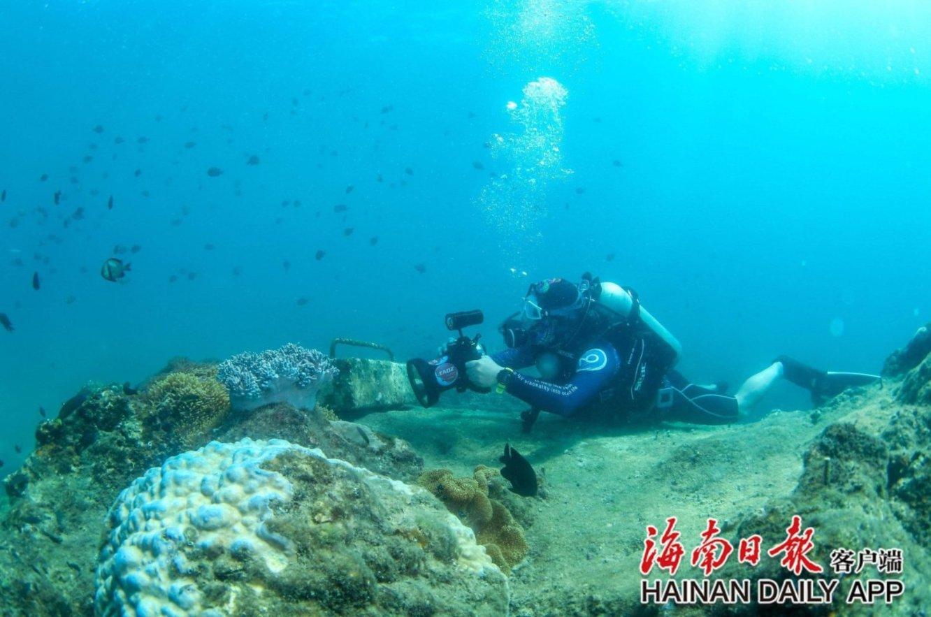 深入探索急!高分求解高等数学积分问题. 求 e 的 x平方 次 的的不定积分!///就是ex2dx的不定积分，加入知识星球平台获取专业知识分享