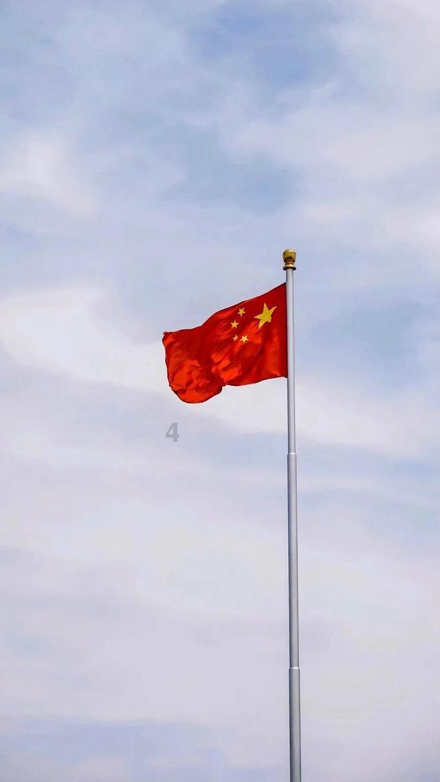 逃离马儿森林
