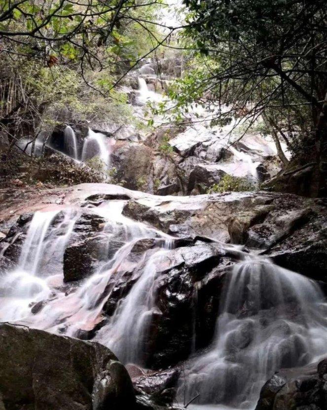 拯救昆虫群
