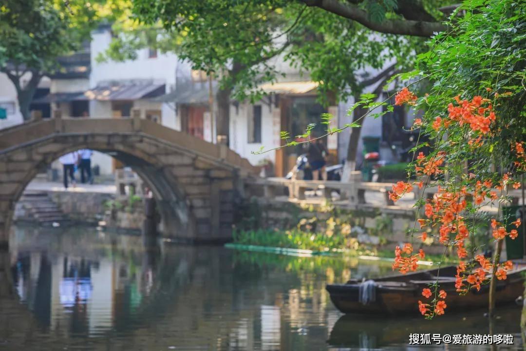 怎么样和儿子互相尊重?游戏画面