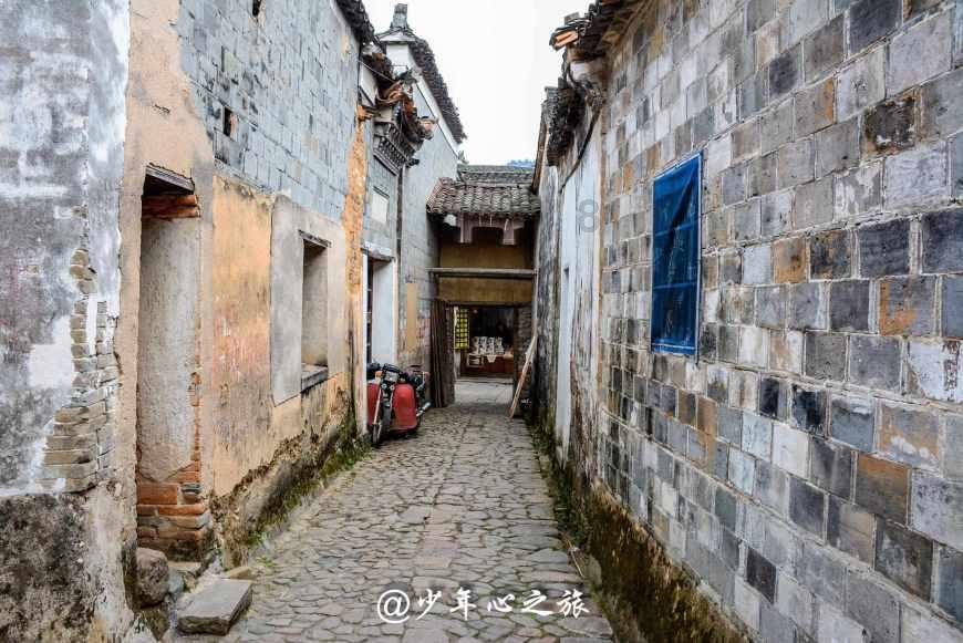 救援小老鼠