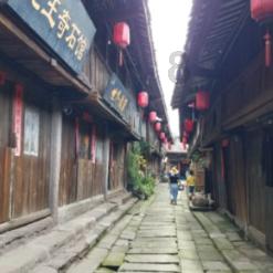 救援猫与武士