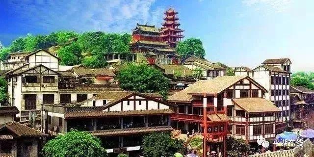 可爱的小考拉